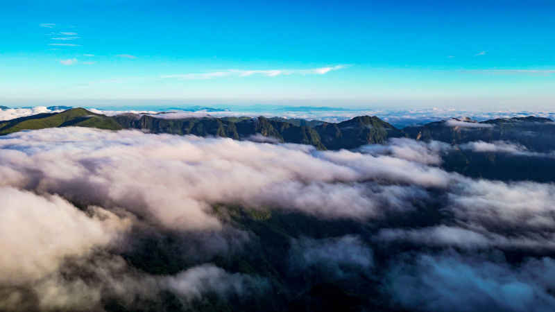 航拍高山云海湖北神农架景区  