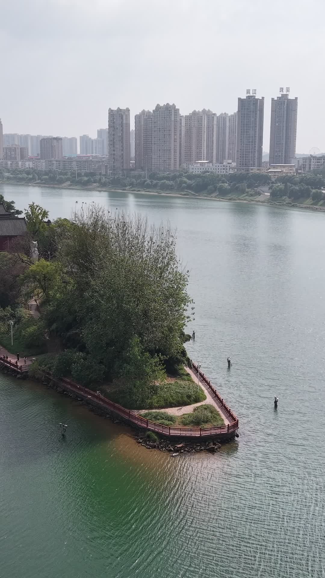 湖畔绿岛与城市交响