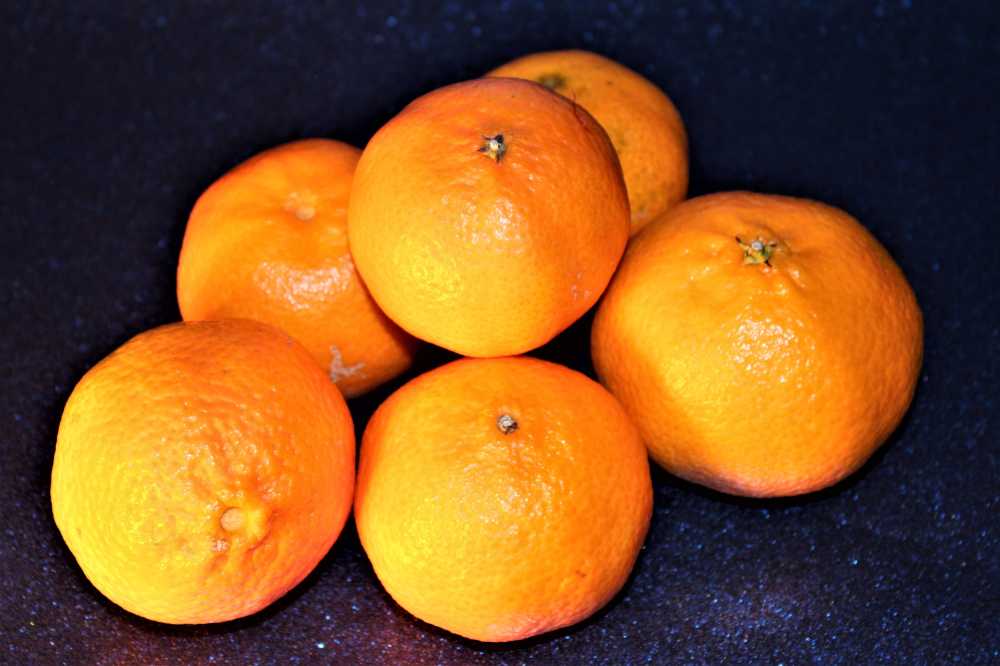 普通话水果橙吃