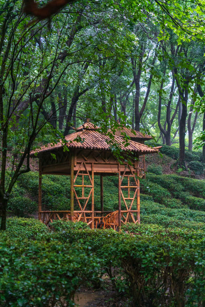 江南水乡 1