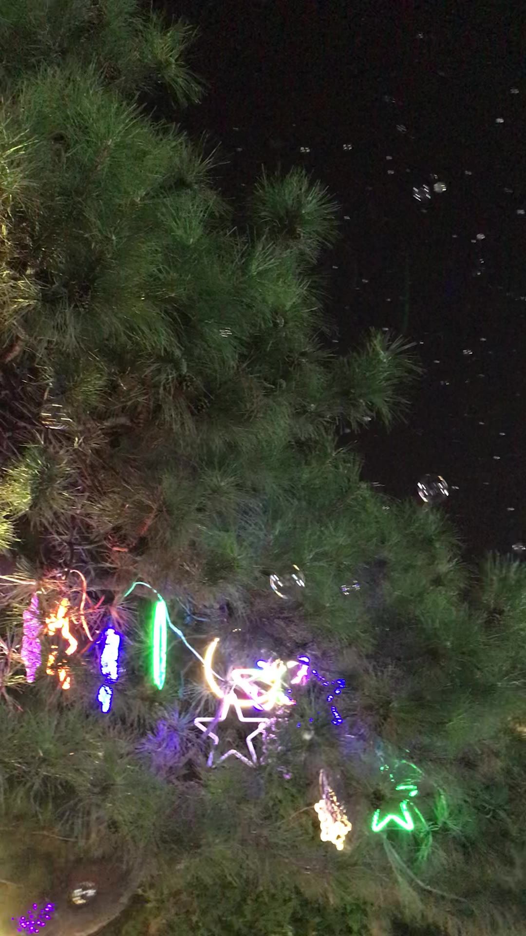 飞舞的泡泡