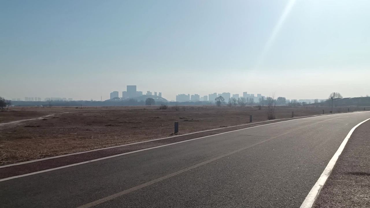 冬天枯萎的公园 1