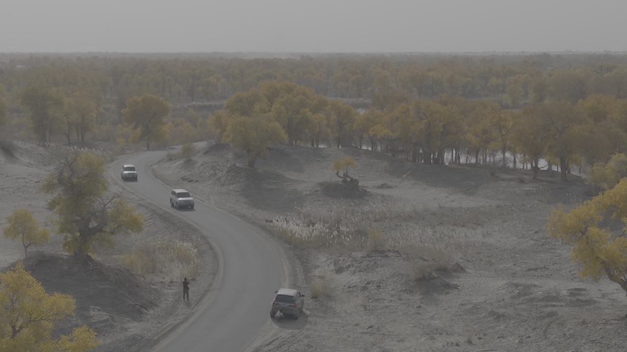 沙漠秋日越野之旅