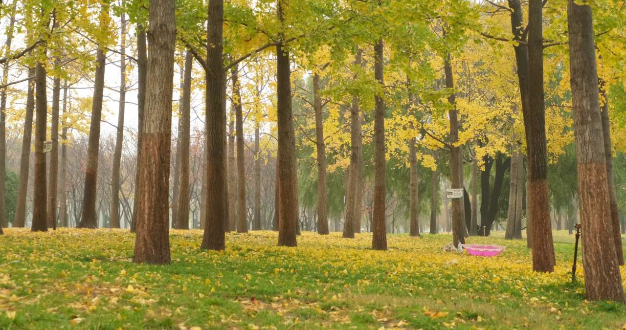 【实拍样片】富士X-S20相机实拍原片视频 3