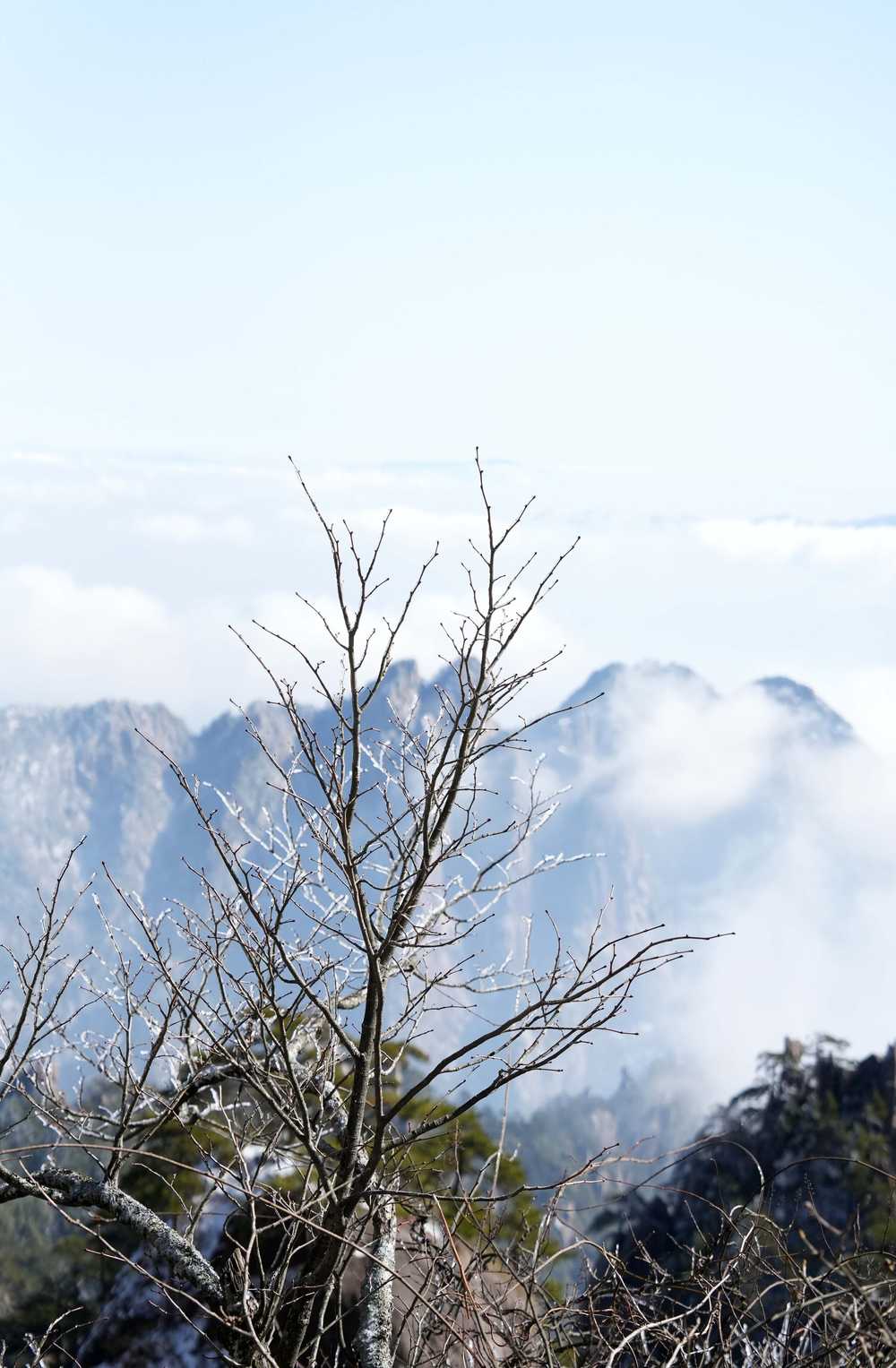 雪落黄山，雾凇云海——山篇