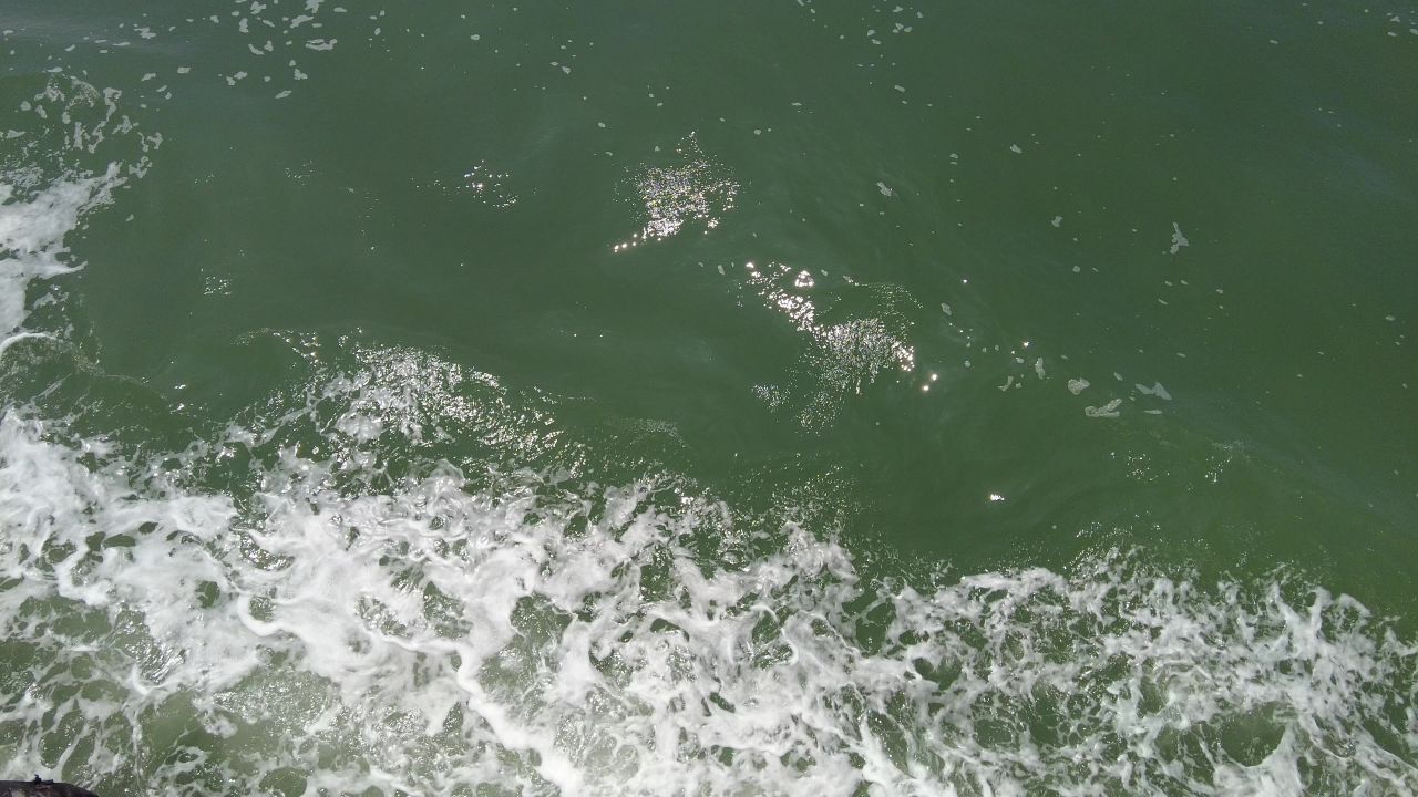 蓝色海洋大海海鸥船只实拍 