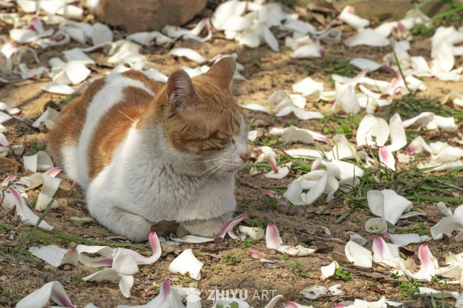 DSC_0024-17 12
