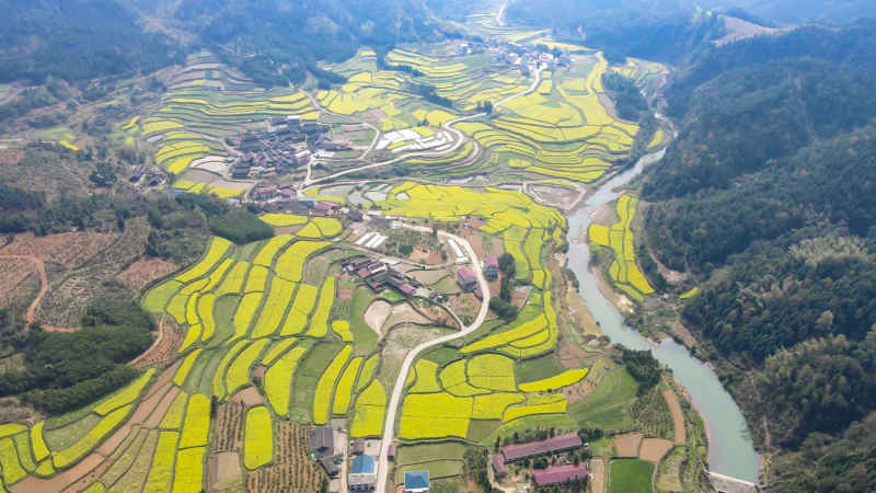 美丽乡村