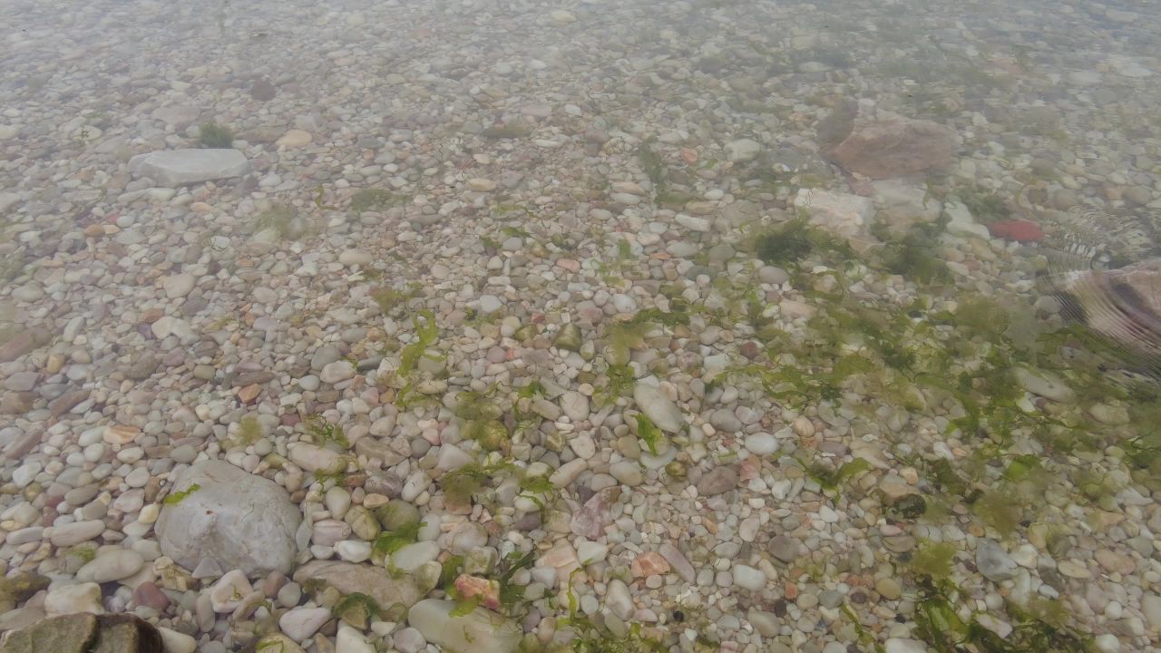 海边沙滩鹅卵石实拍大海海浪