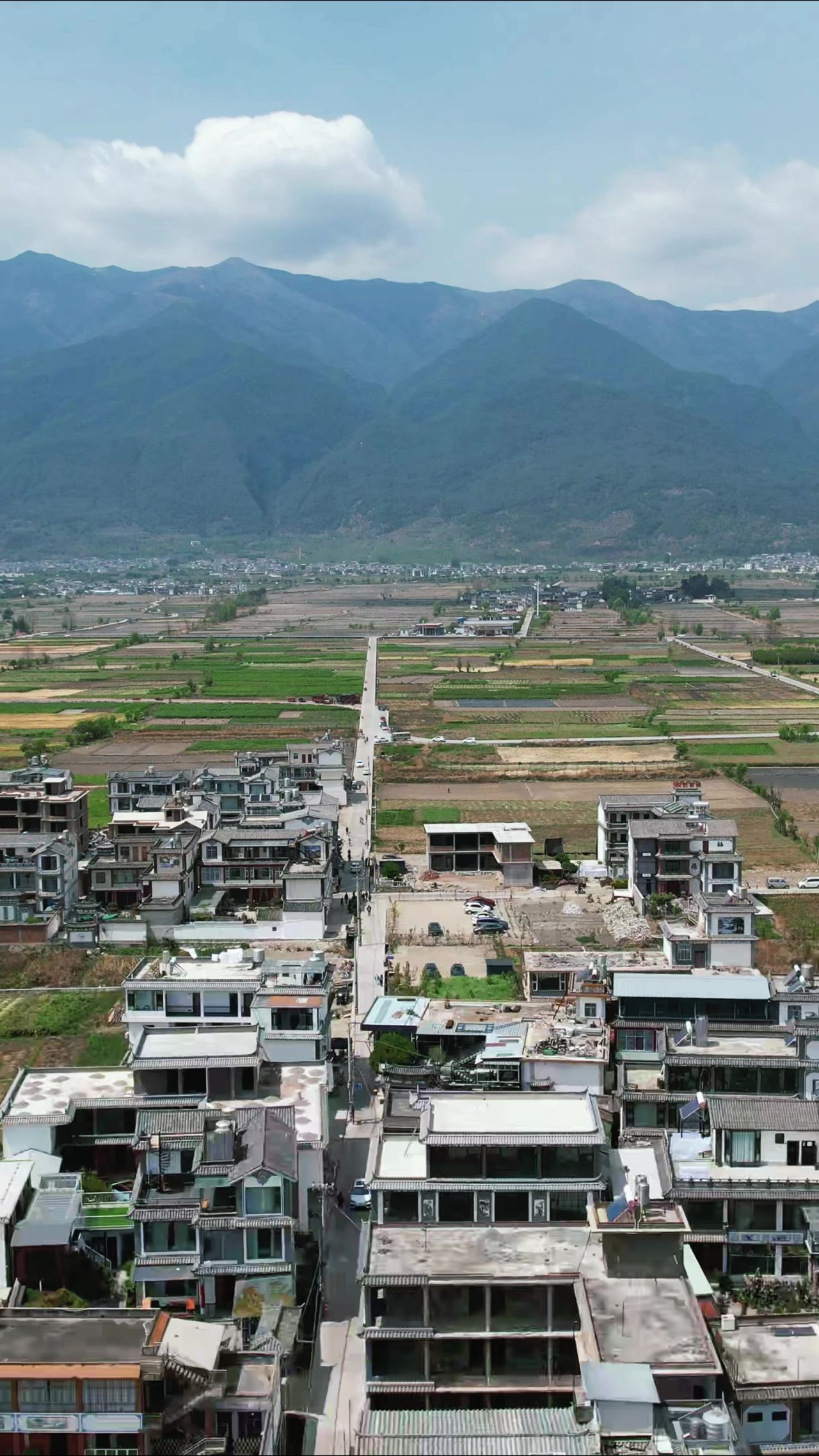 乡村田园农业种植竖屏航拍 