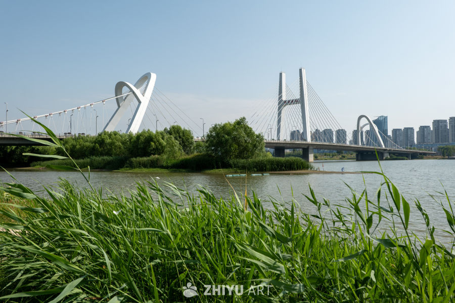 湿地公园一角 4