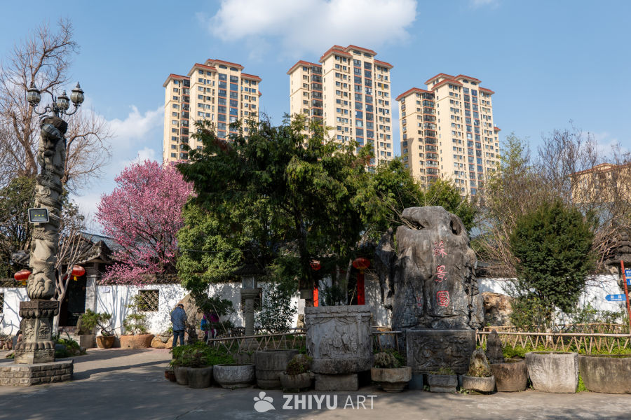 苏景园 77
