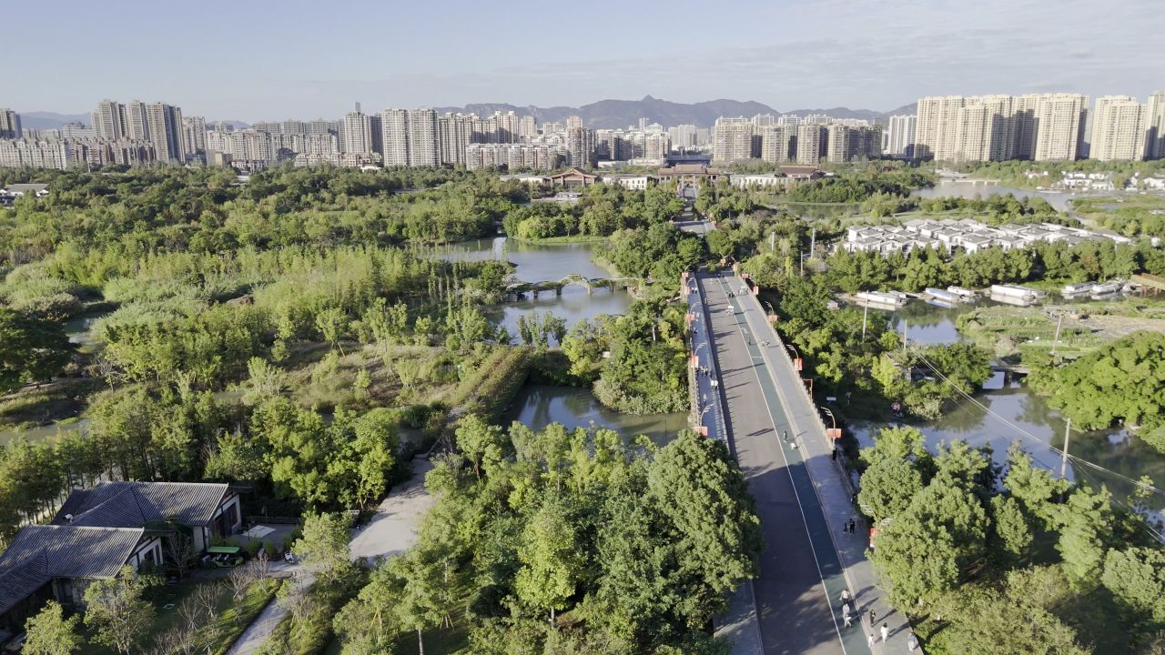 温州三垟湿地风光 17