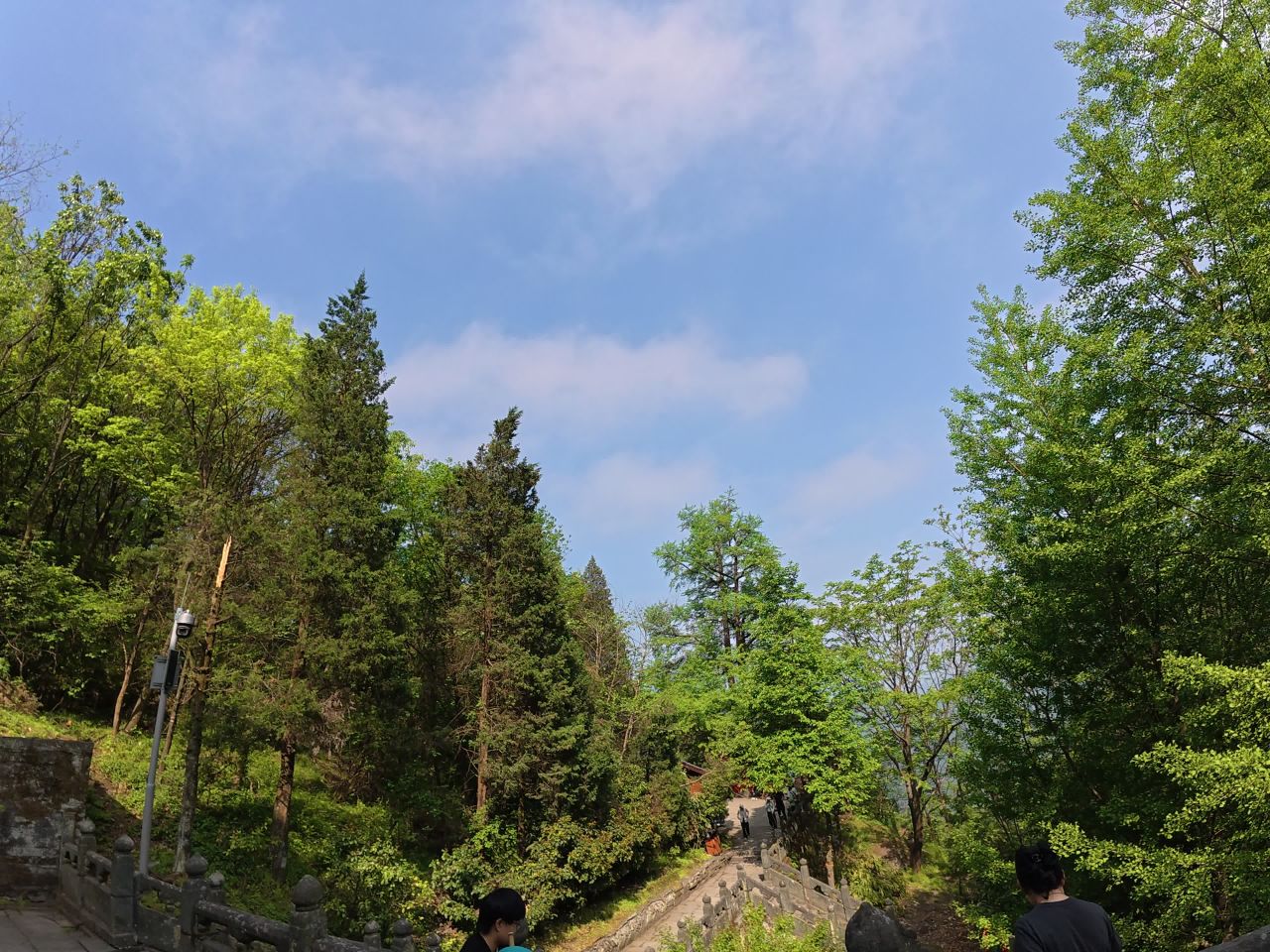 森林石阶漫步