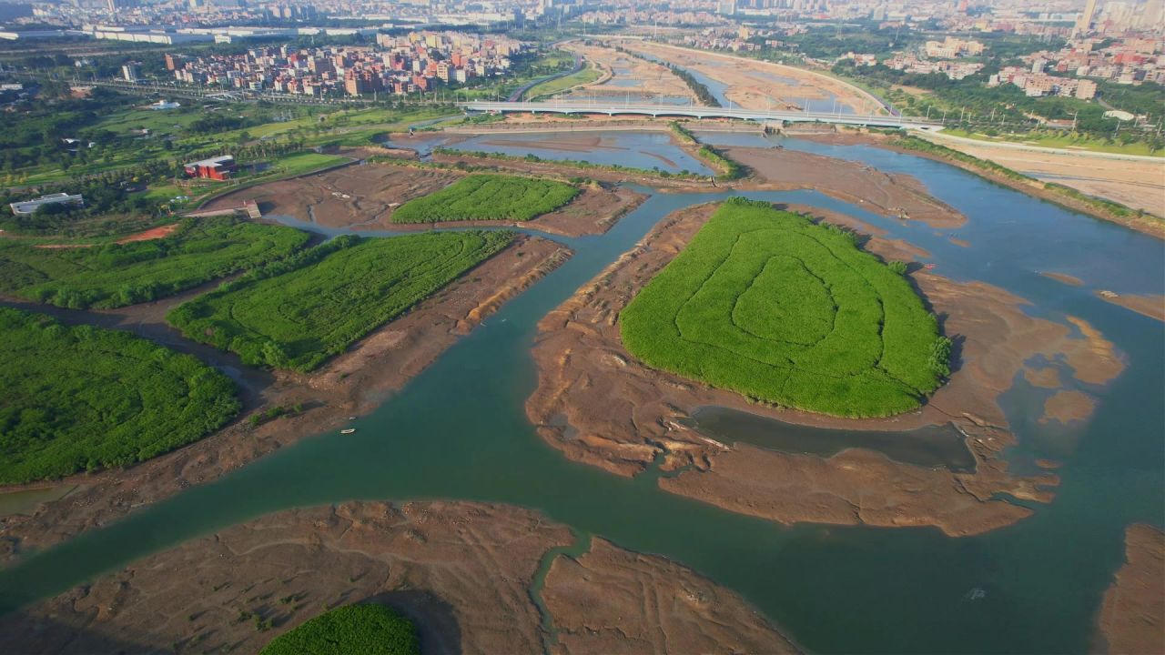 厦门航拍下潭湿地公园景观