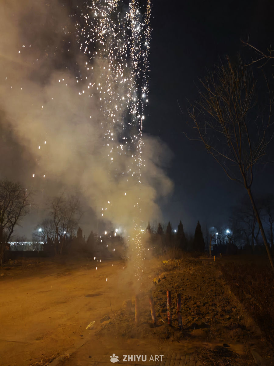 夜空中绽放的烟花