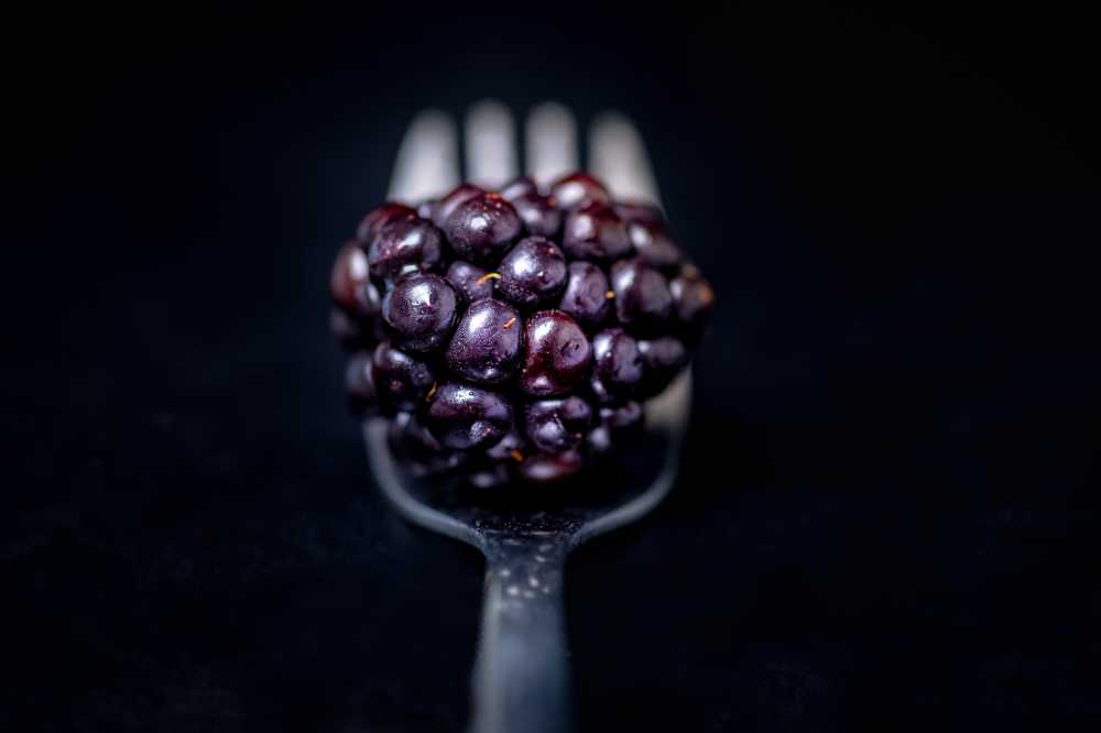 黑莓浆果健康饮食