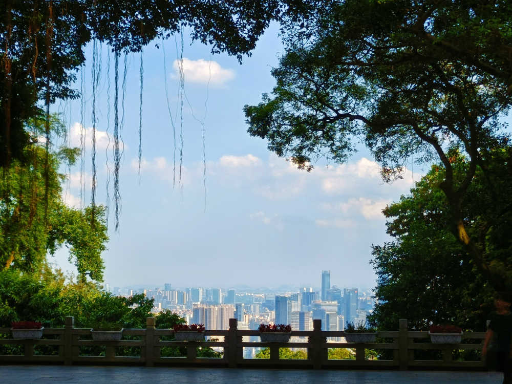 城市