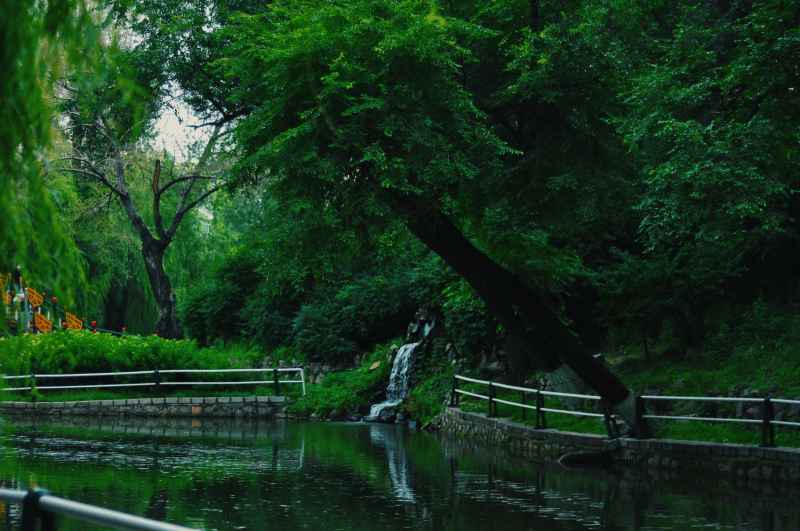 绿色通道