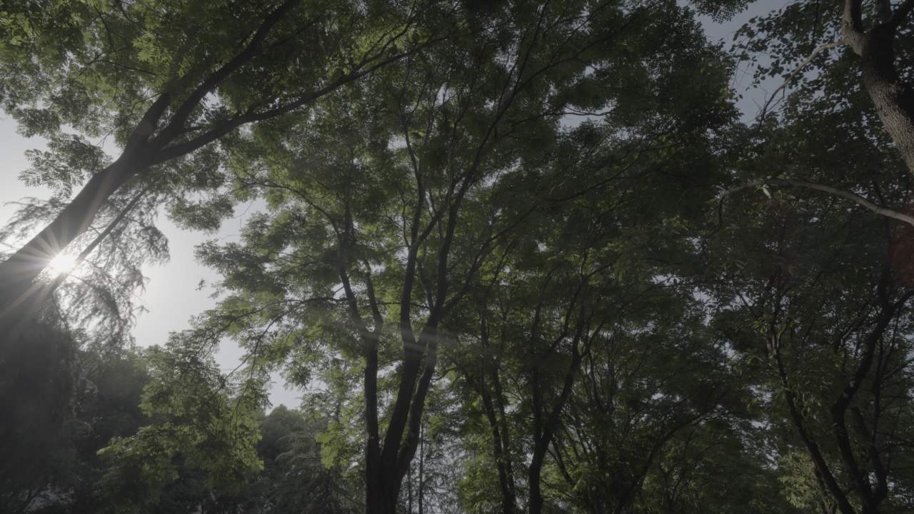 宜昌江边 91