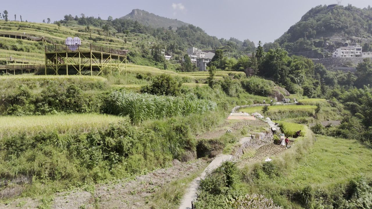 温州中雁荡山与梯田水稻 29
