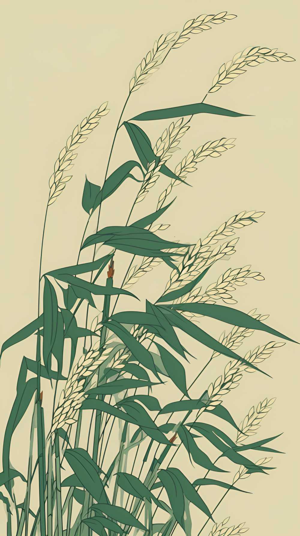 绿植物1