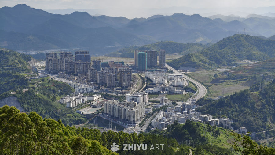 西林