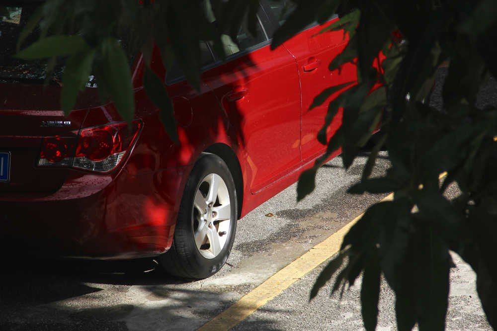 芒果树下的红色汽车