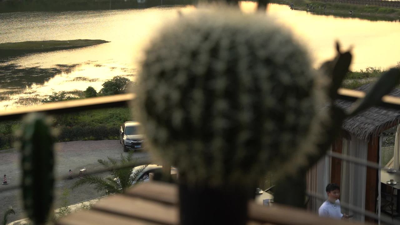 生活节 35
