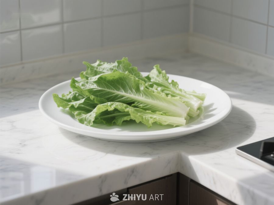 生菜置于白色盘中，厨房台面背景 322