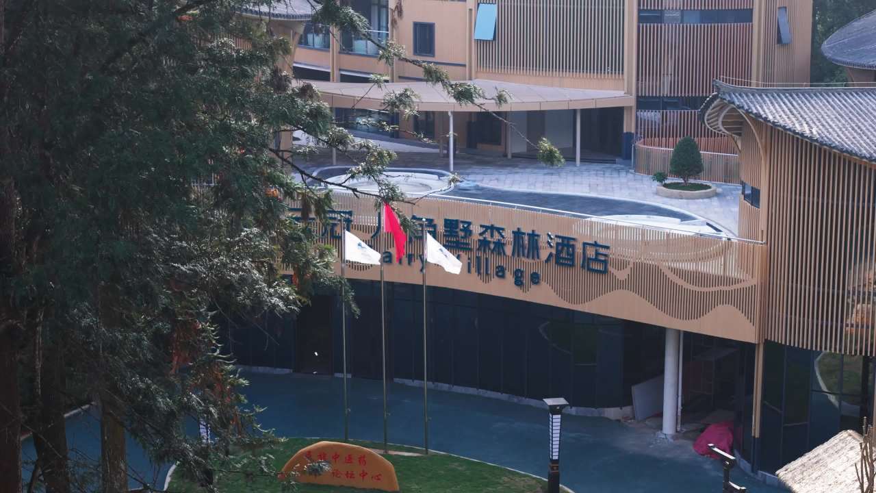 阳光下的森林酒店