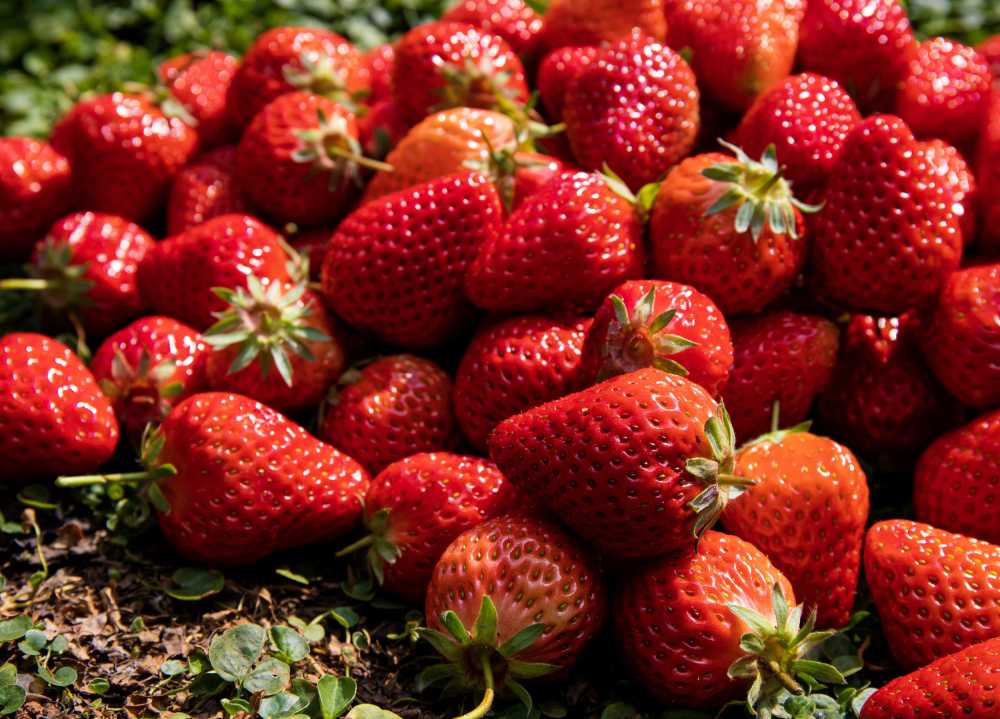 草莓食品水果甜点