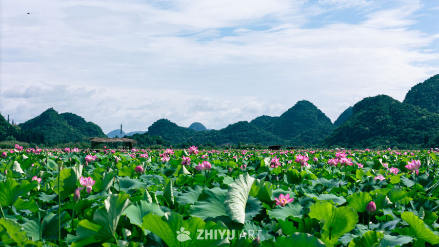 荷塘月色：山水间的宁静