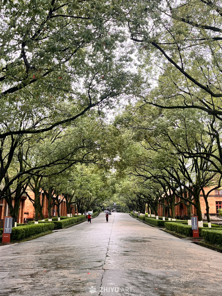 雨中树荫长廊