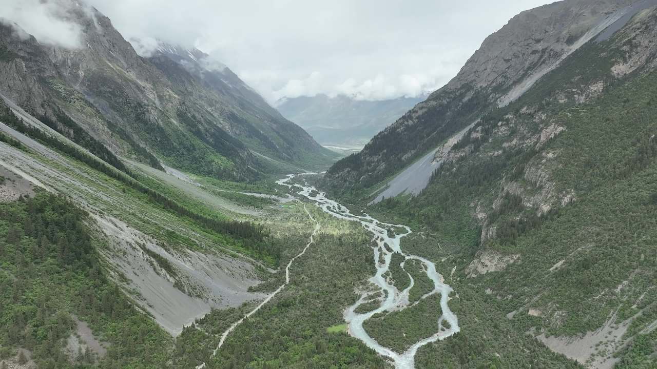 高山峡谷河流沙棘林航拍