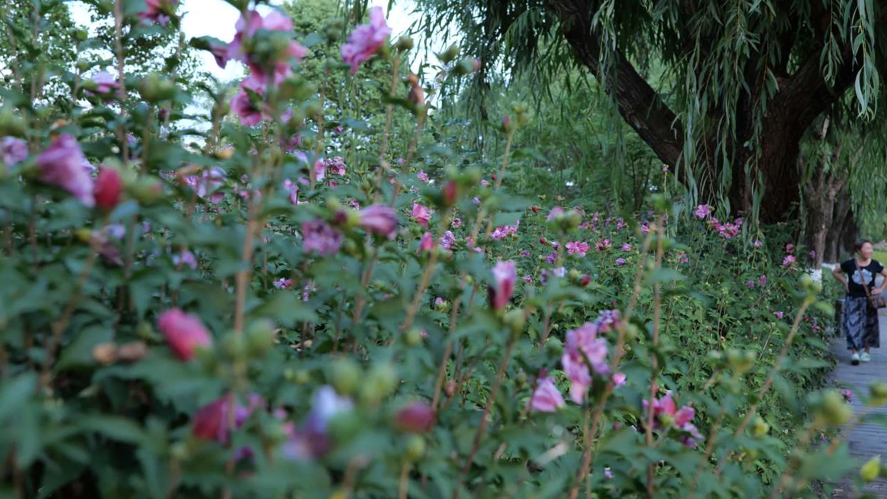 落日余晖 4