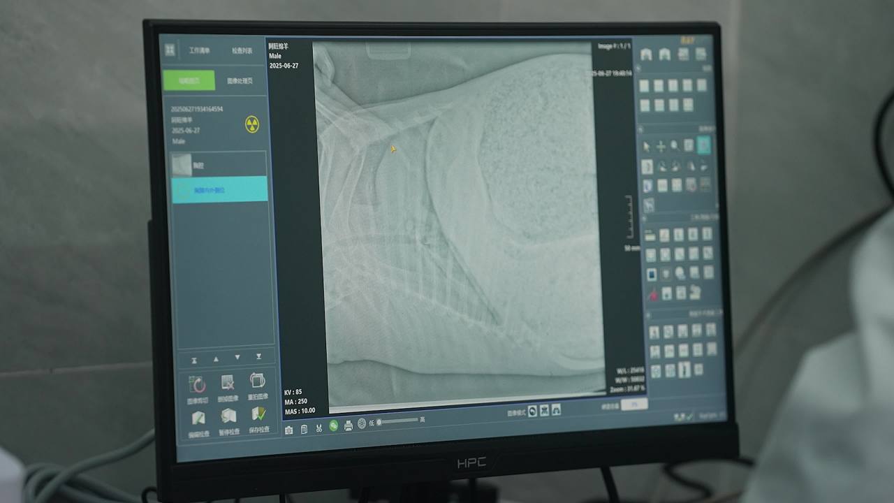 畜牧兽医团队工作记录