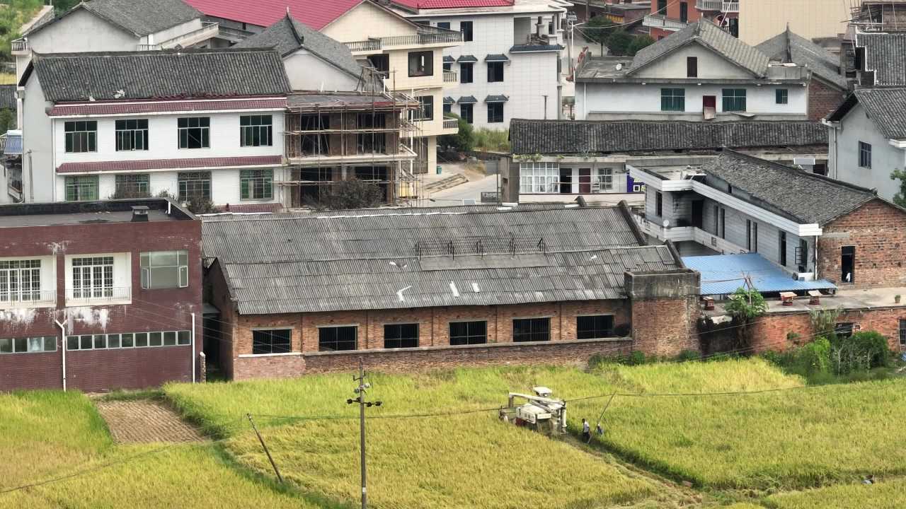 小学 6