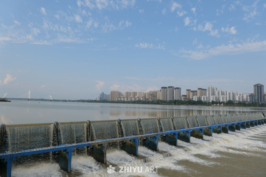 桥水一色 8