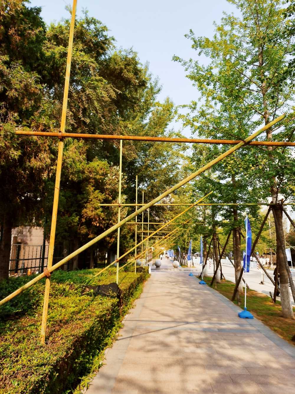 东北大学风景