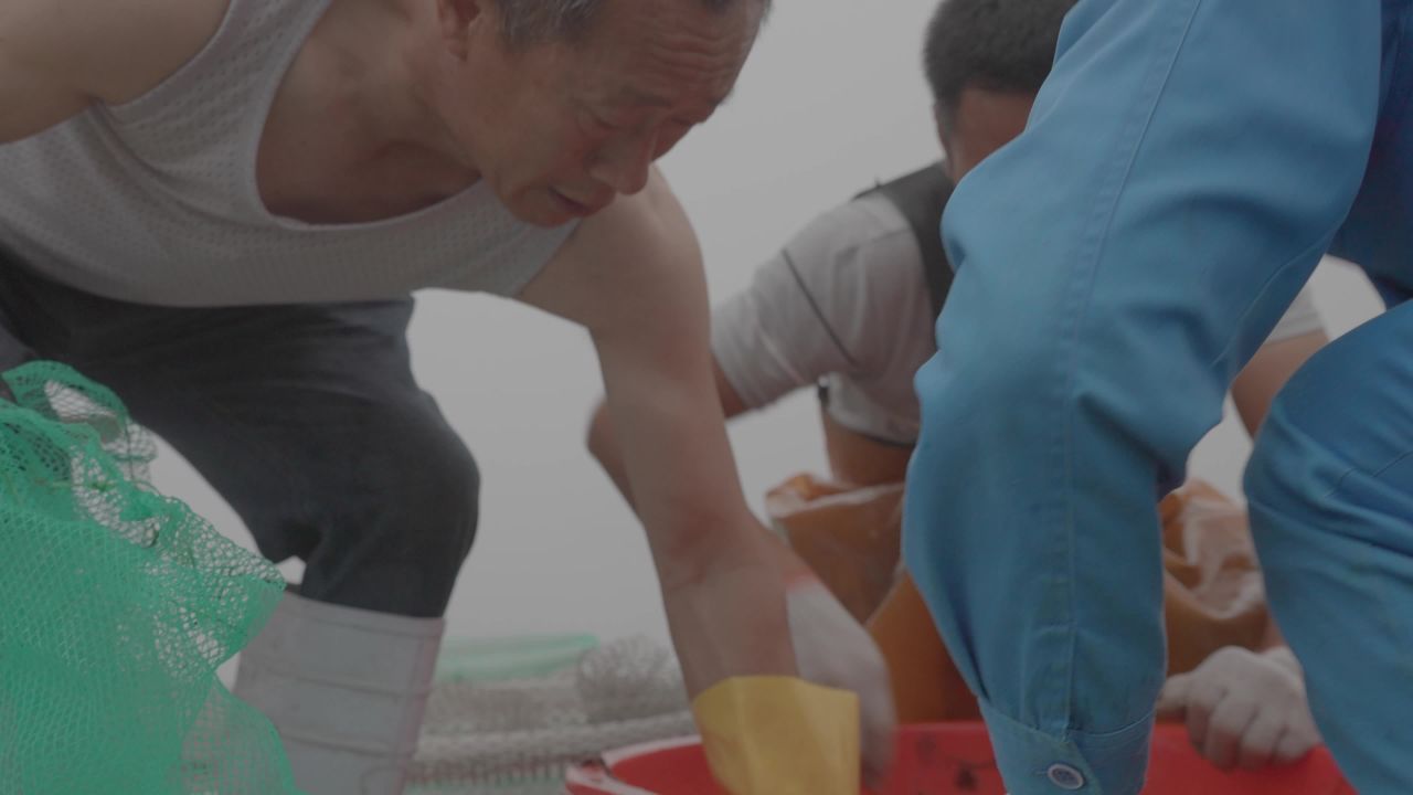 渔民海上捡拣鱼类工作场景