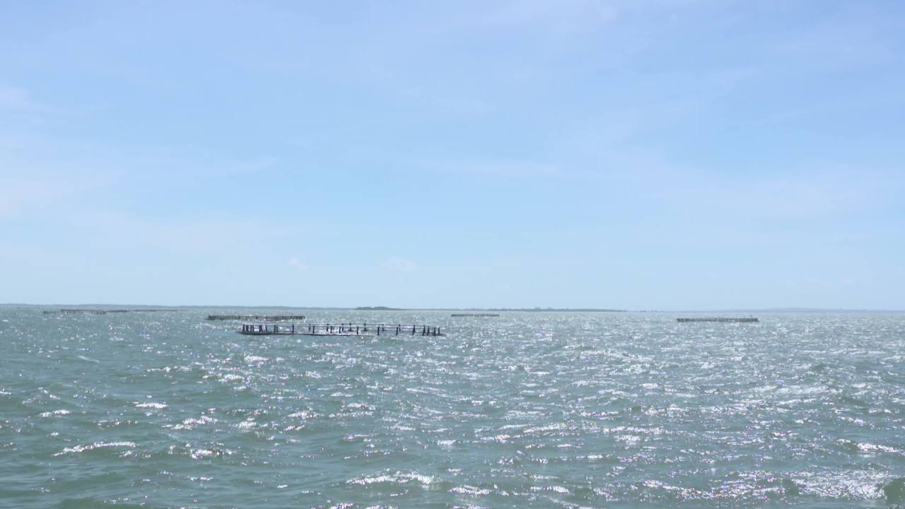 海洋牧场深海养殖