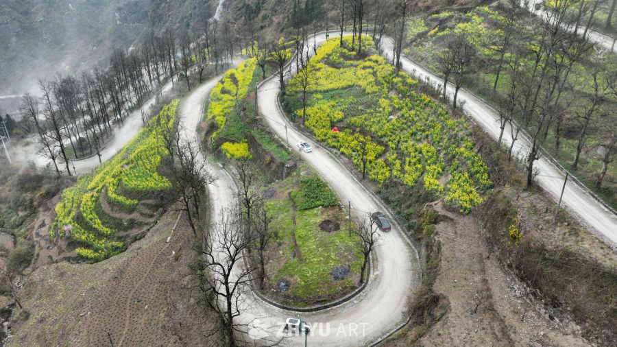 公路汽车 17