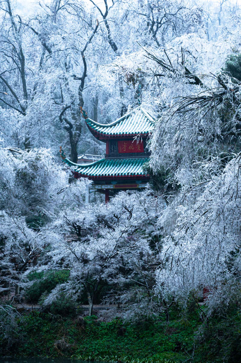 极寒爱晚亭