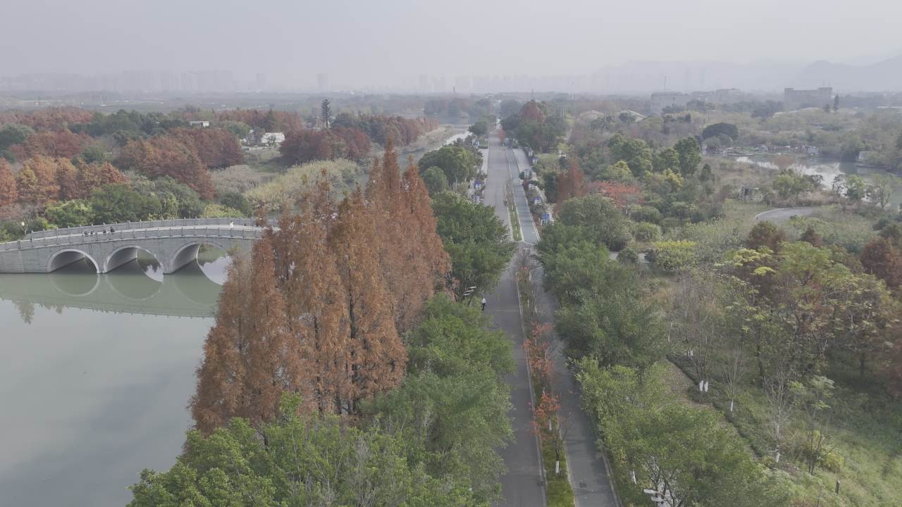 冬日的湿地 19