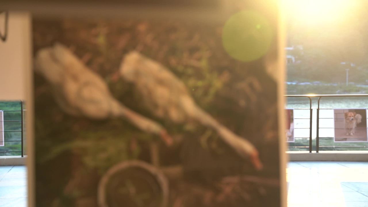生活节 17