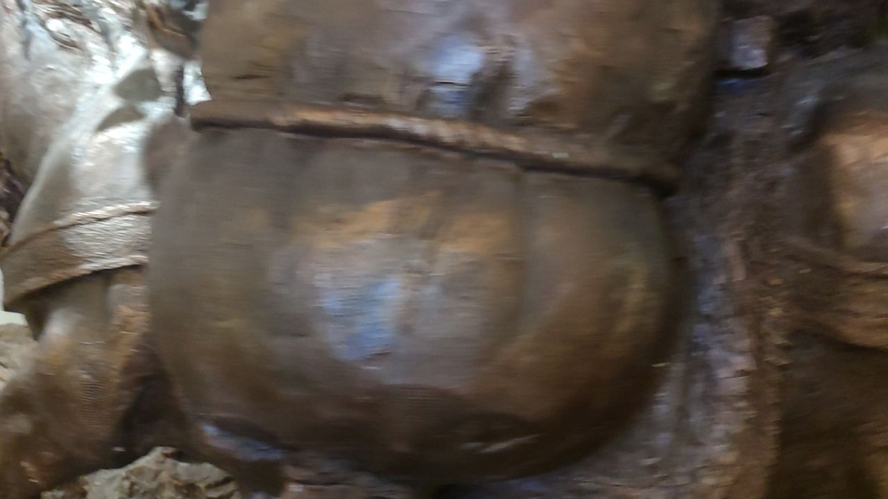 博物馆