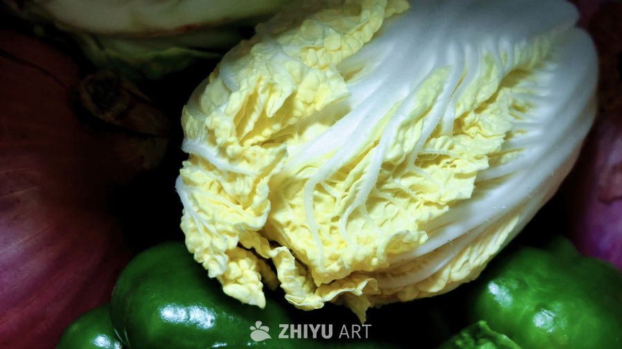 美术临摹用大白菜蔬菜素材