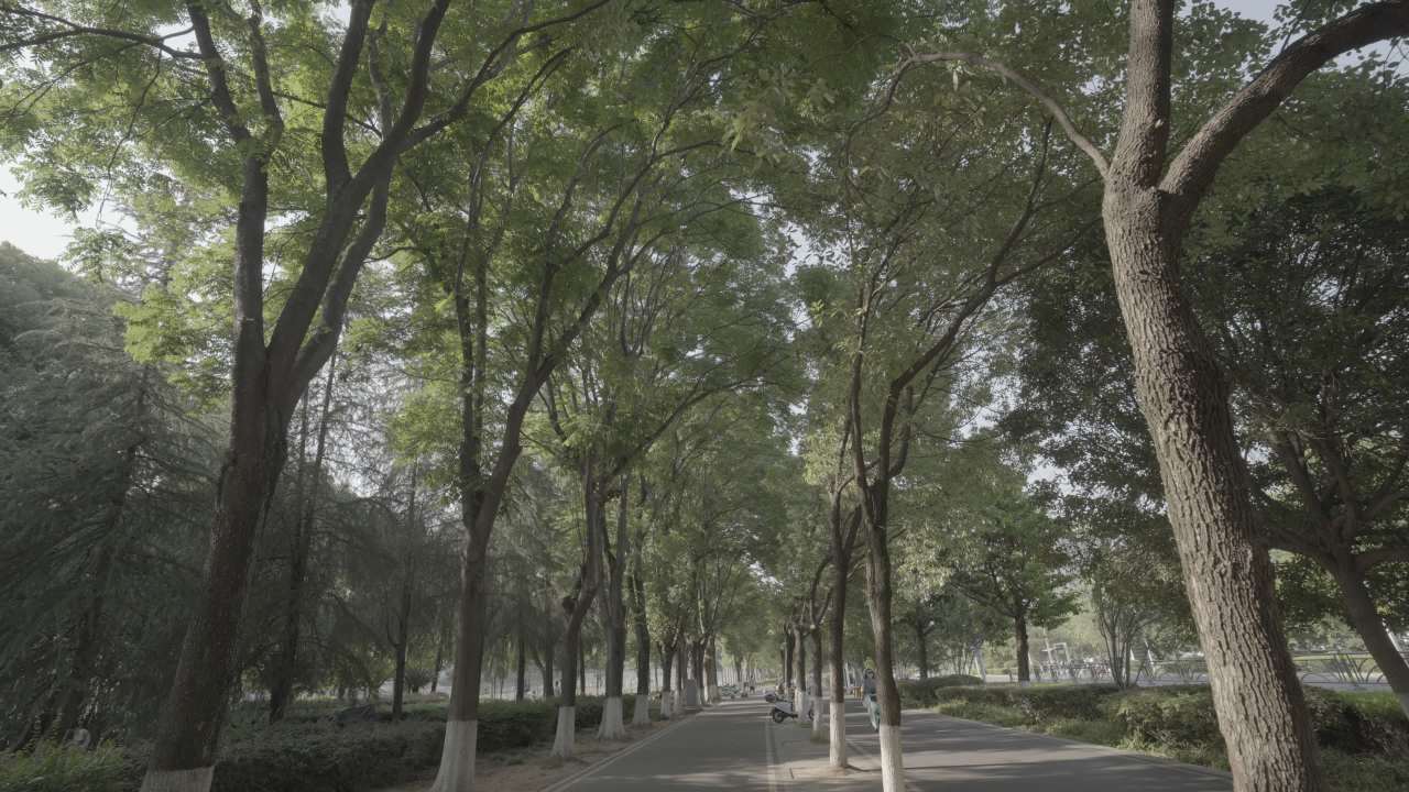 宜昌江边 93