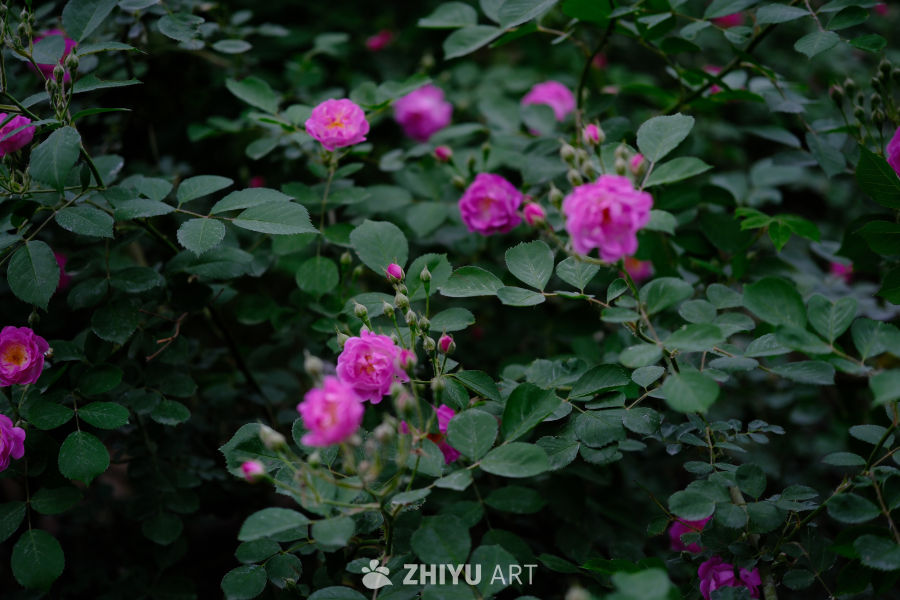 DSCF2175 59